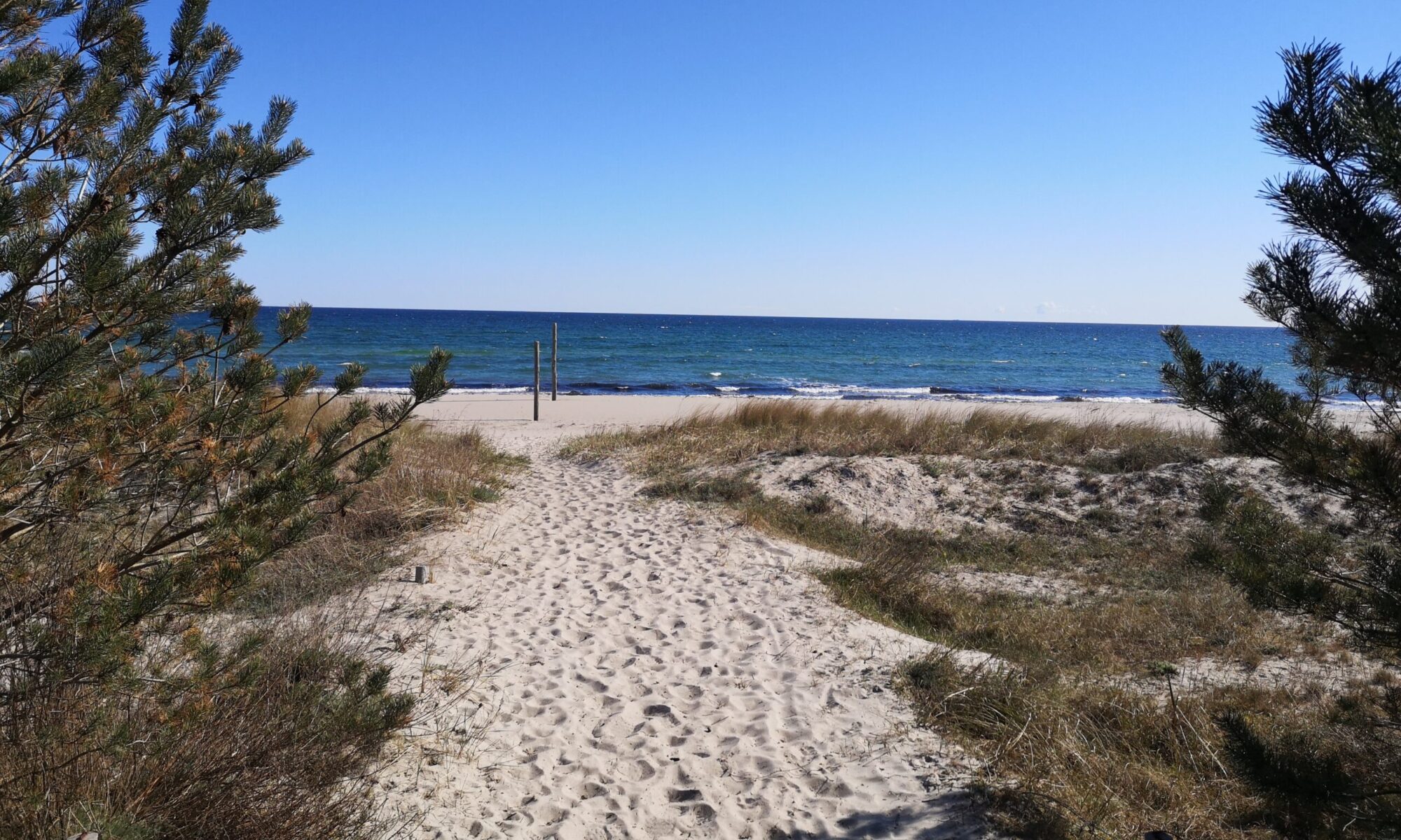 Strand Glowe 2